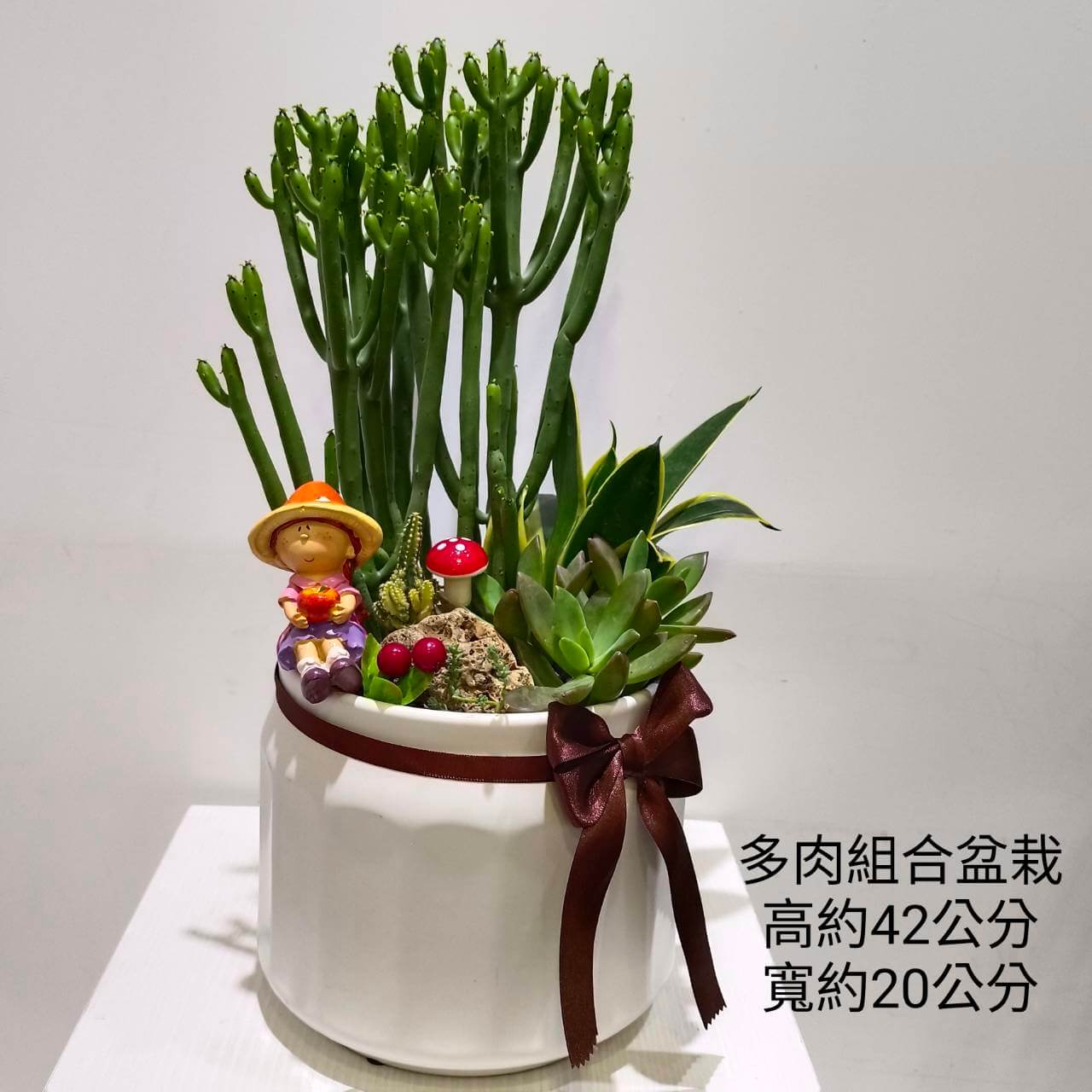 坐落於台北市中正區的平價花店致力於花藝的展現讓花藝融入生活走入人群 代客送花台北市代客送花送花花店送花中正區花店天晴花店花店花 禮天晴花藝禮品坊會場佈置發財樹情人節鮮花花束禮品